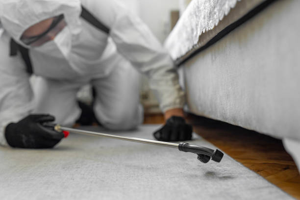 Professional Termite Control technician working in King City, OR