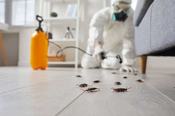 Trusted Rodent Control service in King City, OR - Nex Pest Control
